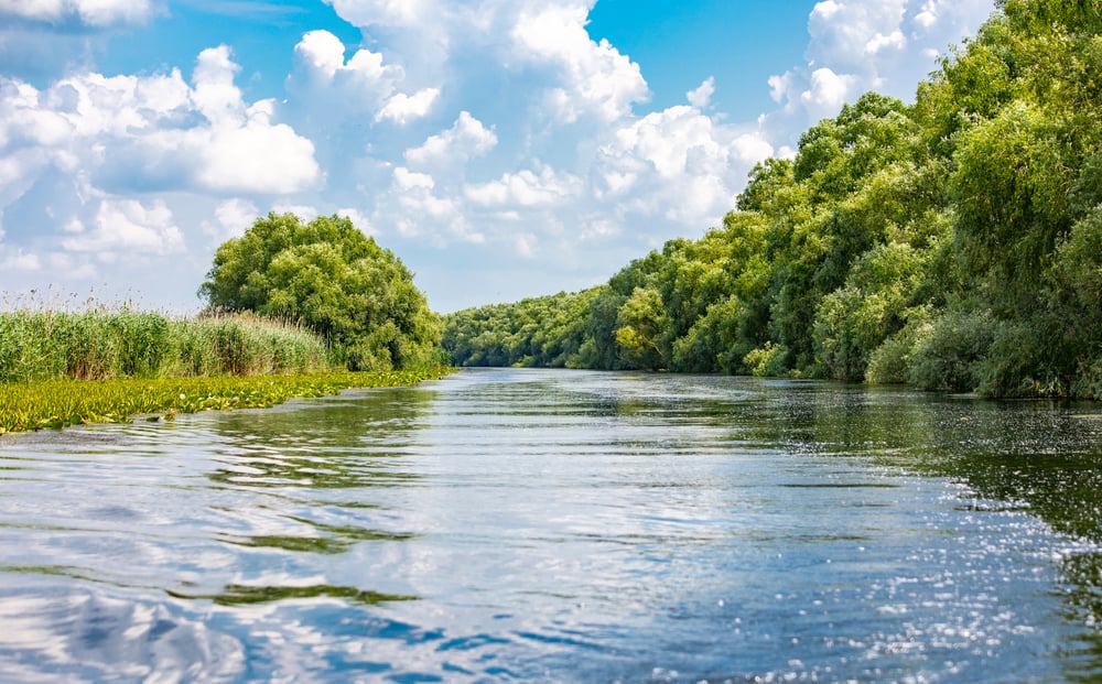 Delta Dunării