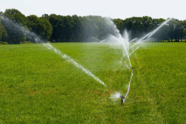 Pompe de irigatii profesionale: Sustenabilitate pentru agricultura moderna.