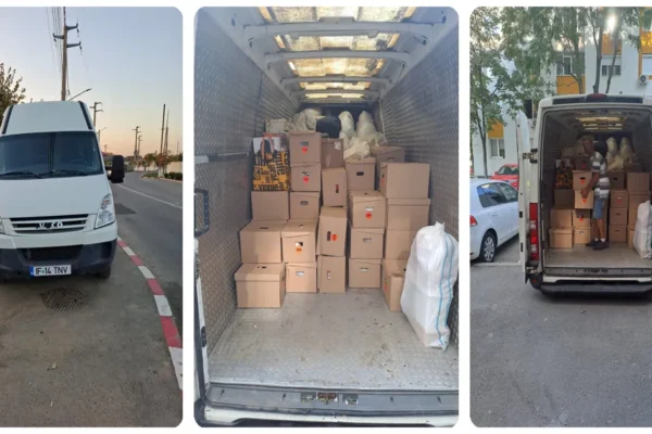 Firma de transport pentru mutat mobila