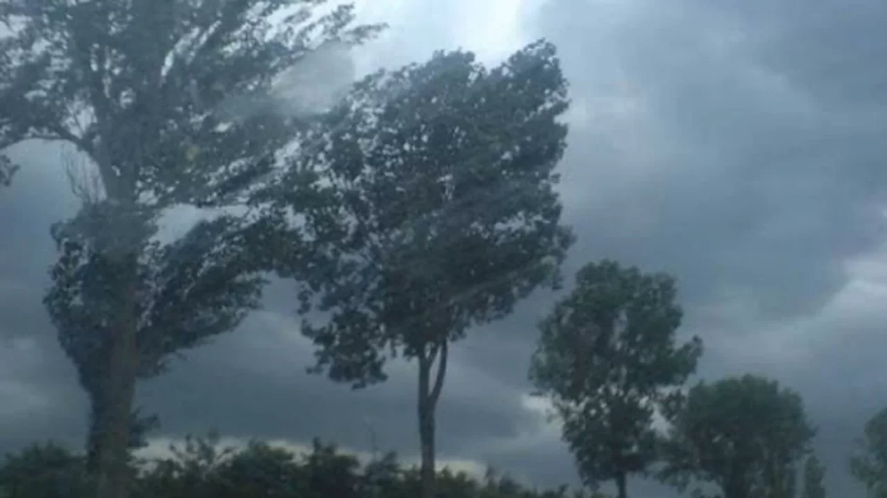 Prognoza meteo